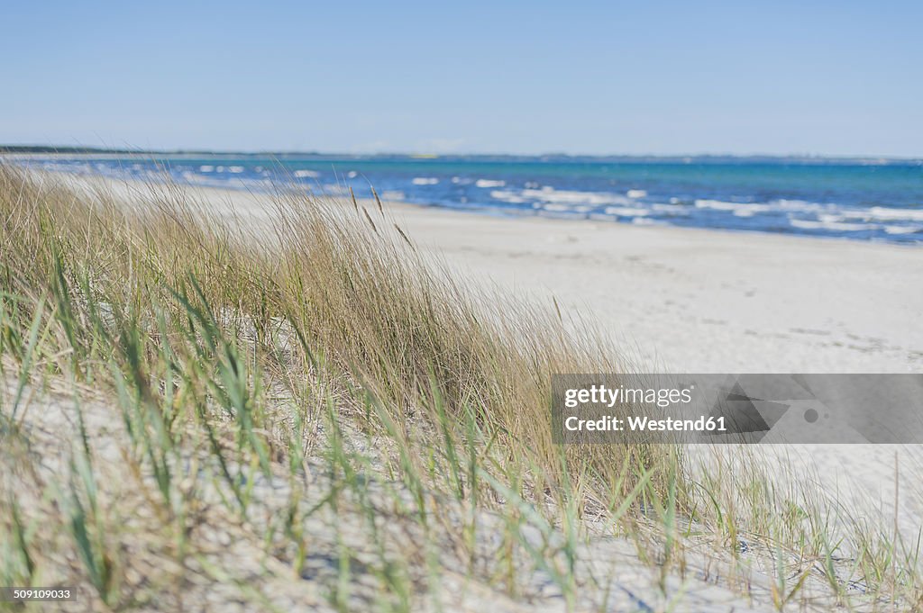 Germany, Mecklenburg-Western Pomerania, Ruegen, Beach at Schaabe