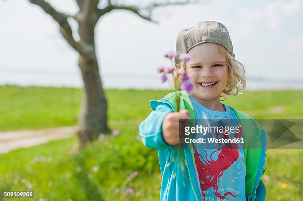germany, mecklenburg-western pomerania, ruegen, smiling boy holding flower - luxury lounges stock pictures, royalty-free photos & images