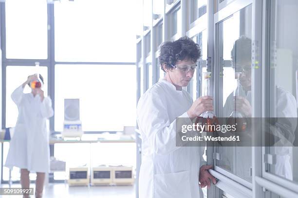 Counter Backround Lab Lab Counter Background Photos and Premium High Res Pictures - Getty Images