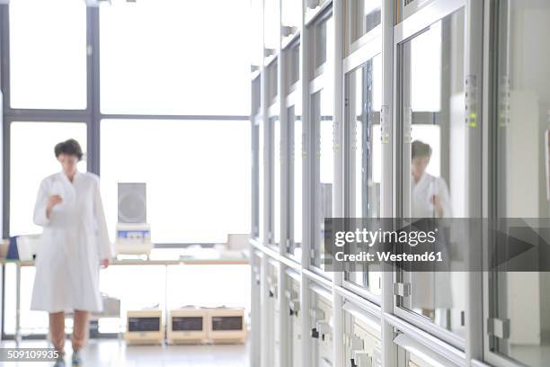 Counter Backround Lab Lab Counter Background Photos and Premium High Res Pictures - Getty Images