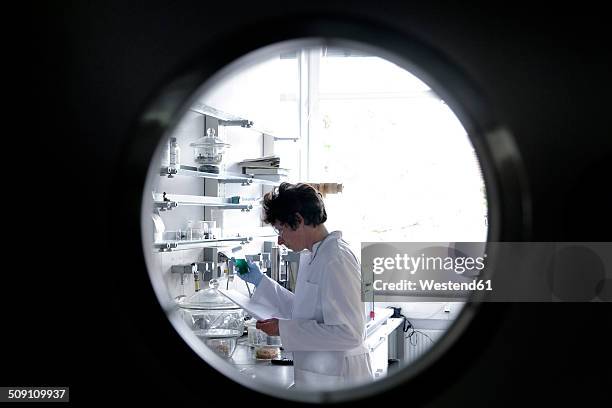 female chemist working in lab watched through spy hole - kikhål bildbanksfoton och bilder