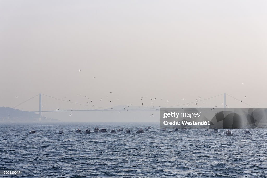 Turkey, Istanbul, Fishing boats on Bosporus