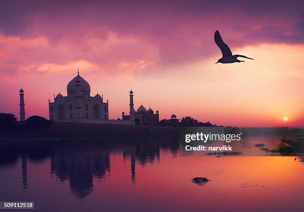 taj mahal und den fluss yamuna - agra stock-fotos und bilder