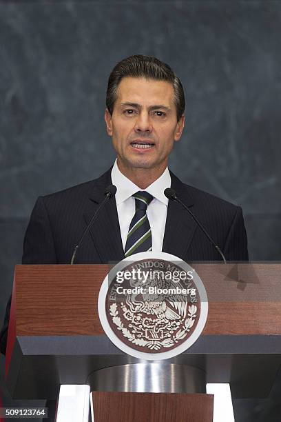 Enrique Pena Nieto, Mexico's president, speaks during an announcement at the Presidential Residence, also known as Los Pinos, in Mexico City, Mexico,...