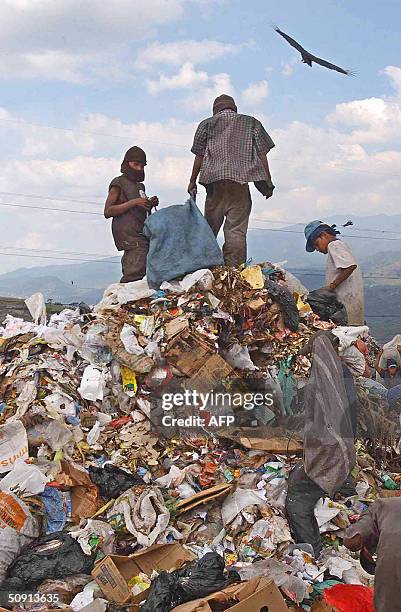 Indigentes de Brasilia buscan objetos y materiales reciclables para venderlos, como tambien comida, en uno de los grandes depositos de basura de la...