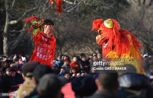 Lion dancers perform for a crowd in a park in Beijing during Lunar New Year celebrations on February 9, 2016. Millions of Chinese are celebrating...
