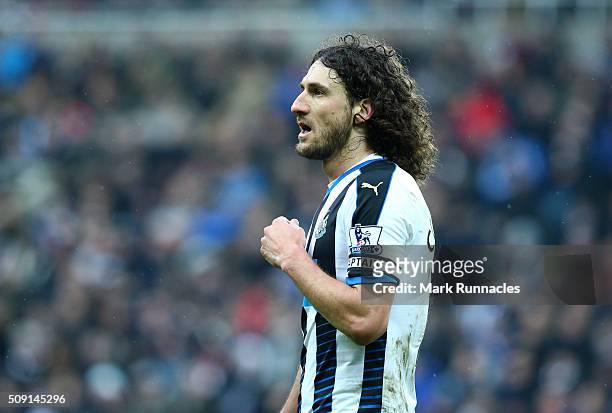 Fabricio Coloccini of Newcastle United in action during the Barclays Premier League match between Newcastle United FC and West Bromwich Albion FC at...