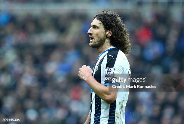 Fabricio Coloccini of Newcastle United in action during the Barclays Premier League match between Newcastle United FC and West Bromwich Albion FC at...