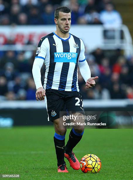 Steven Taylor of Newcastle United in action during the Barclays Premier League match between Newcastle United FC and West Bromwich Albion FC at St...