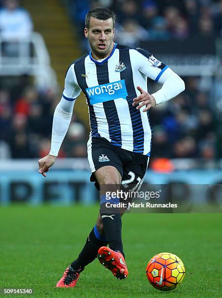 Steven Taylor of Newcastle United in action during the Barclays Premier League match between Newcastle United FC and West Bromwich Albion FC at St...