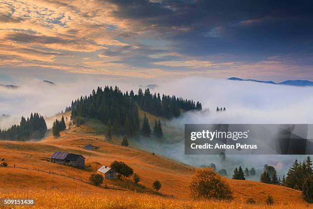 fog in the mountains - ukraine landscape stock pictures, royalty-free photos & images