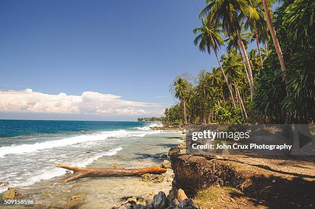 madang beach - madang stock pictures, royalty-free photos & images