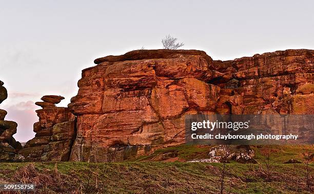 brigham rocks at dawn - brimham rocks stock pictures, royalty-free photos & images