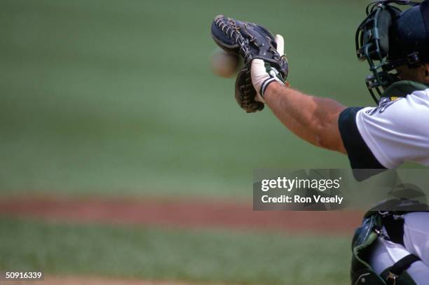 View of a catcher with glove.