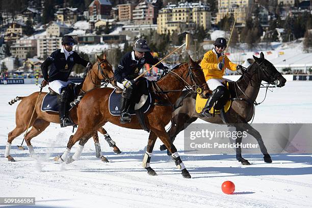 "snow polo world cup st. moritz" - polo horse stock pictures, royalty-free photos & images