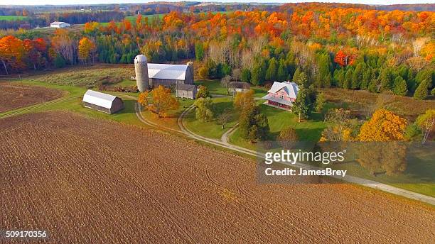 colorful autumn rural forest and farm landscape. - october landscape stock pictures, royalty-free photos & images