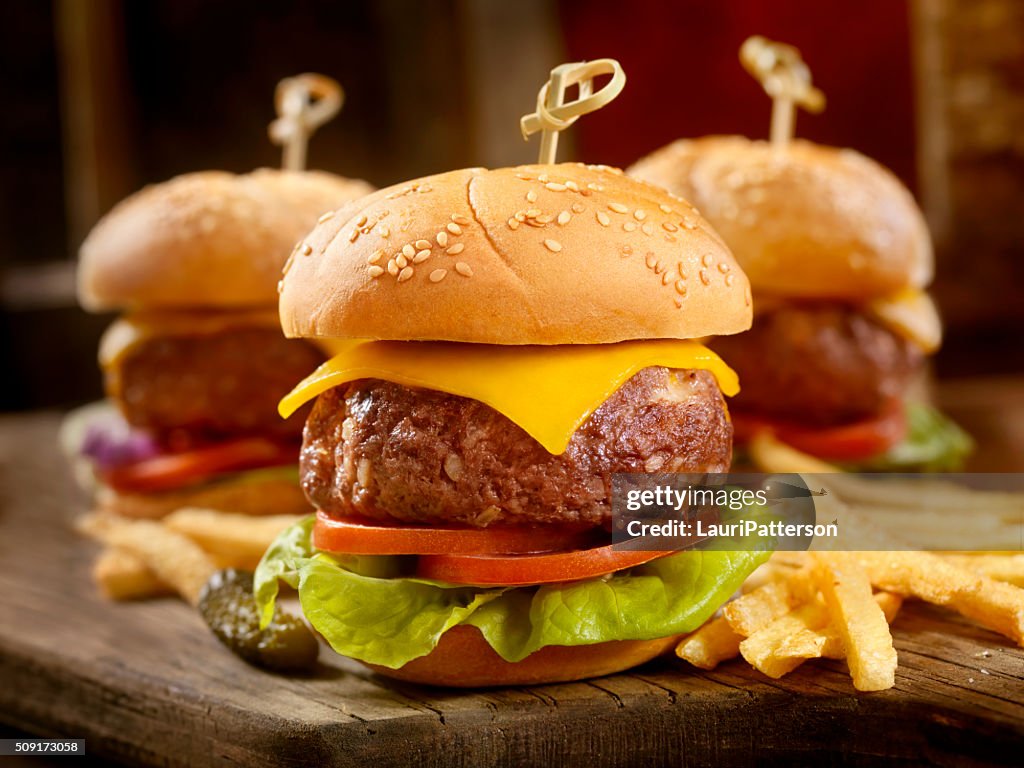 Mini CheeseBurgers with Fries
