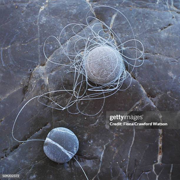 Fishing Line In Rocks 107 Tangled Fishing Line Stock Photos, High-Res Pictures, and Images ...