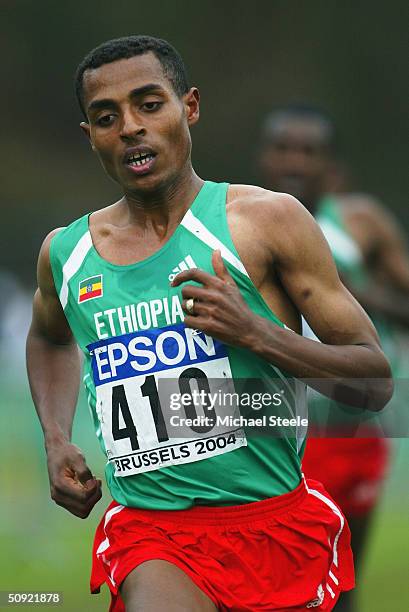 Kenenisa Bekele of Ethiopia in action in the Men's 12KM race during the IAAF World Cross Country Championships at Ossegem Park, in Laken-Brussels on...