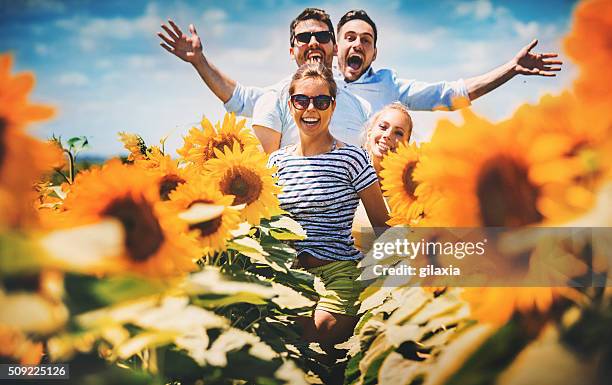 summer hype. - double date stock pictures, royalty-free photos & images