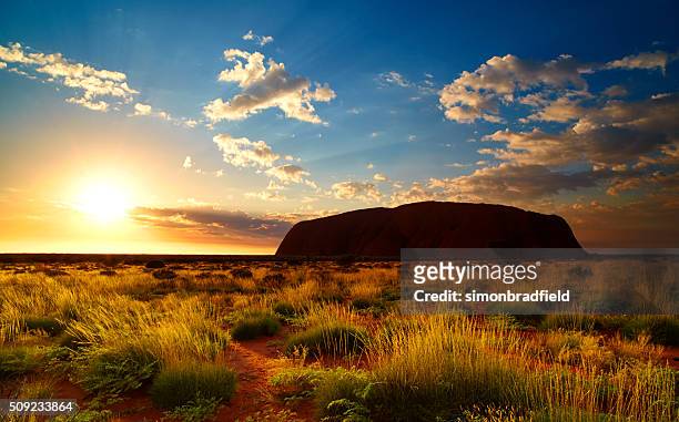 uluru at dawn - northern territory australia stock pictures, royalty-free photos & images