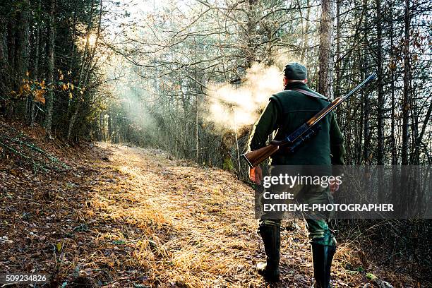 cazador de con rifle caminando en el bosque - fusil fotografías e imágenes de stock