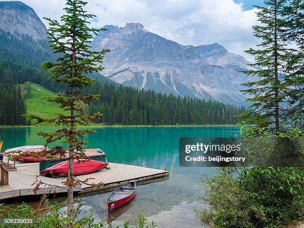 canoes at emerald lake-tranquil scene - yoho national park stock pictures, royalty-free photos & images