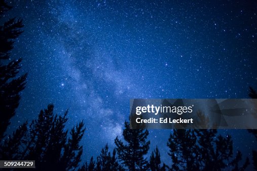 Milky Way over the forest Milky Way over the forest