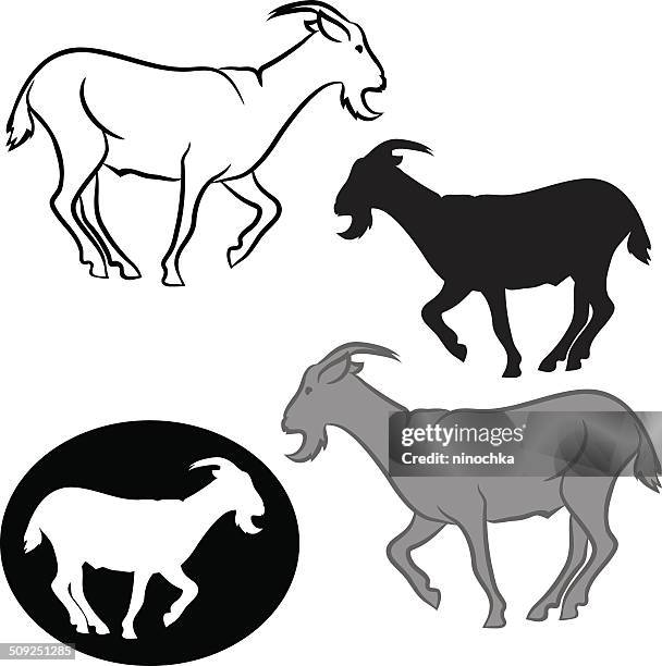 ziege - goat stock-grafiken, -clipart, -cartoons und -symbole