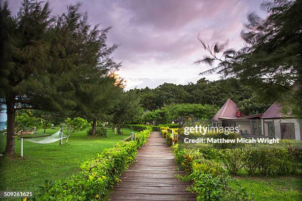a pathway leads to bungalow accommodation - oceanië stockfoto's en -beelden
