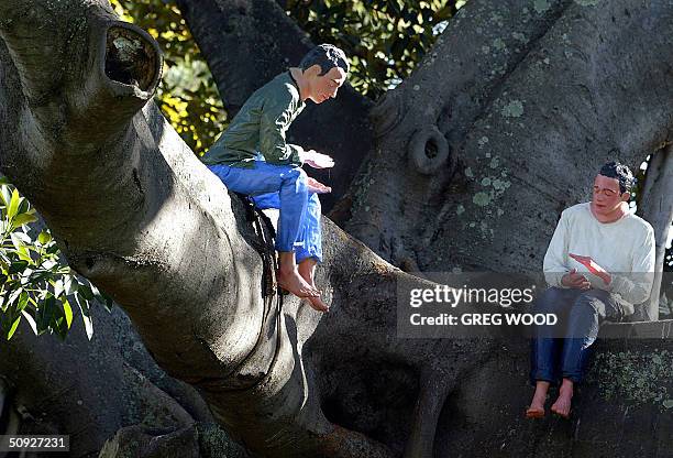 Sculpture by Spanish twins MP and MP Rosado which forms part of the Biennale of Sydney, shows two boys sitting on the huge branch of a Moreton Bay...
