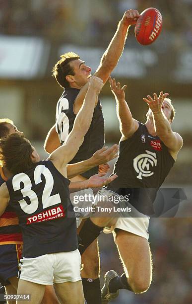 Tony Ruck 87 Tony Deluca Stock Photos, High-Res Pictures, and Images - Getty Images