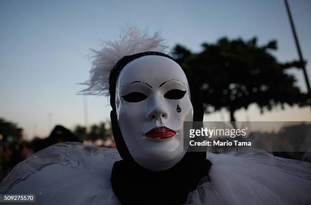 Reveler poses during Carnival celebrations at the Banda de Ipanema 'bloco', or street parade, on February 9, 2016 in Rio de Janeiro, Brazil....