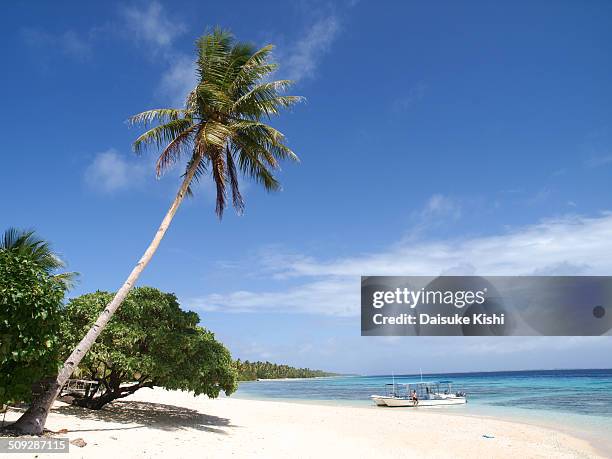 beachside in marshall islands - majuro marshall islands stock pictures, royalty-free photos & images