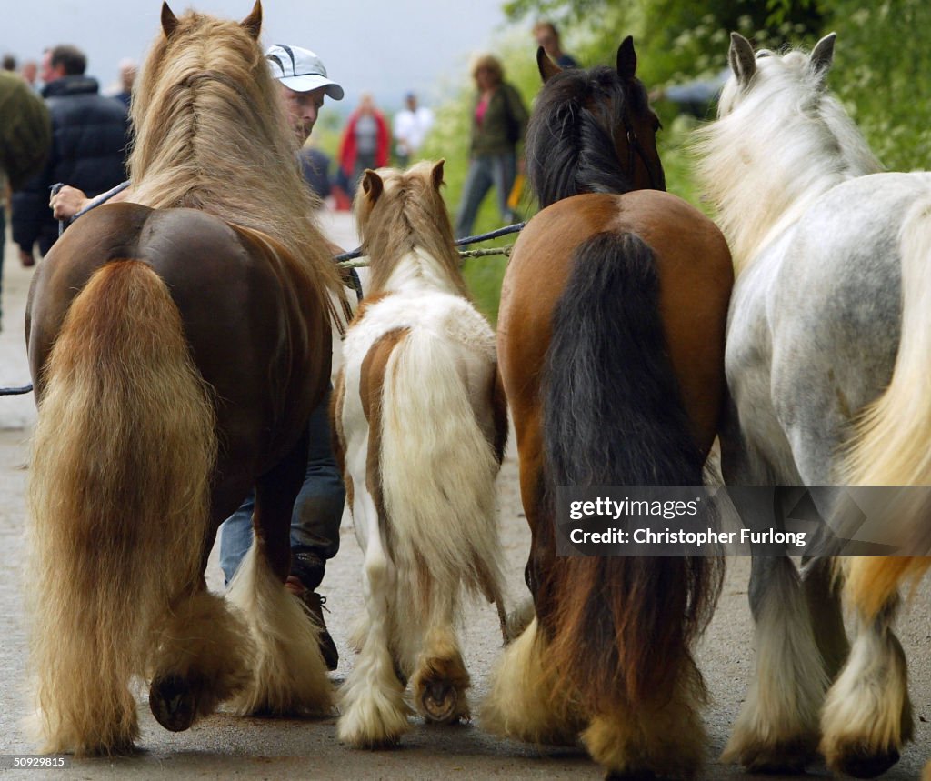 Gypsies Gather For Appleby Horse Fair