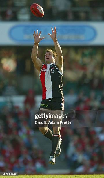 Aaron Hamill of the Saints in action during the round 11 AFL match between the Sydney Swans and St Kilda Saints at the Sydney Cricket Ground June 6,...