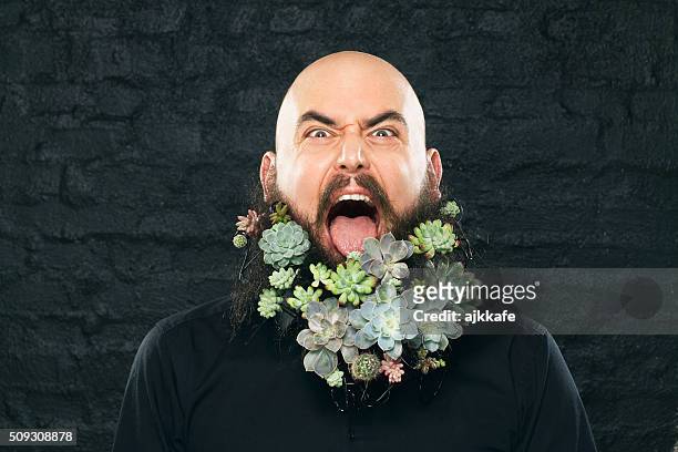 完全菜食主義者の男性 - angry bald screaming man ストックフォトと画像