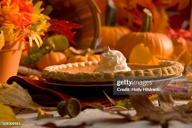 thanksgiving pumpkin pie - whip cream dollop stock pictures, royalty-free photos & images
