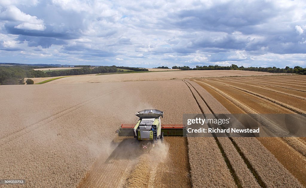 Combine Harvesting Crop in Neat Lines