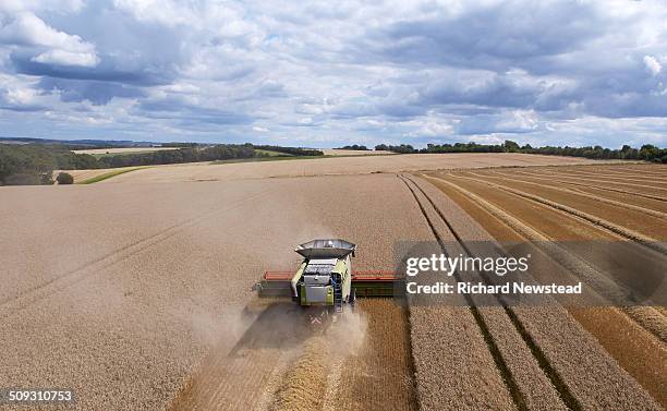 combine harvesting crop in neat lines - combine harvester stock pictures, royalty-free photos & images
