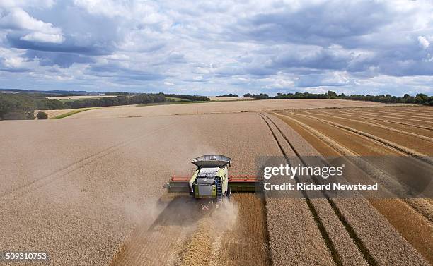 combine harvesting crop in neat lines - combine harvester bildbanksfoton och bilder