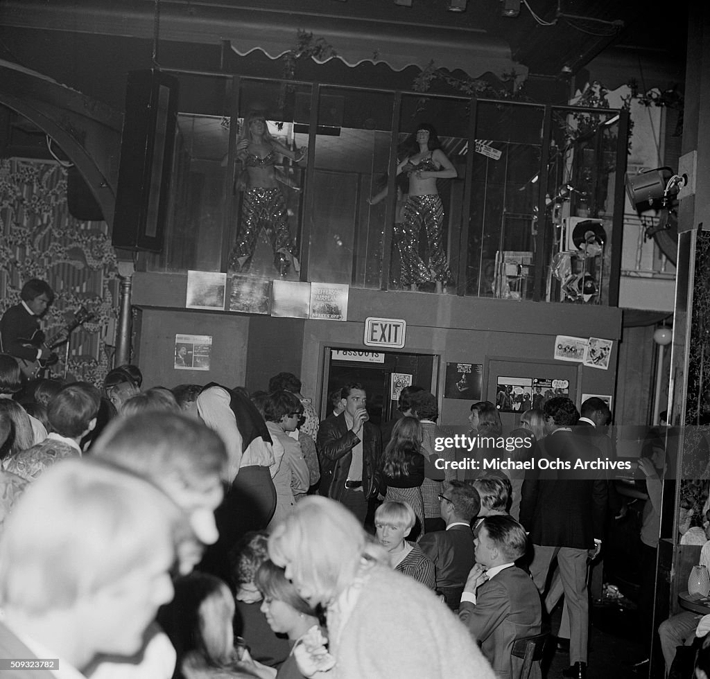 Dancers at Frank Zappa Concert