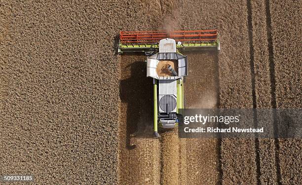 combine harvesting crop - tractor in field stockfoto's en -beelden
