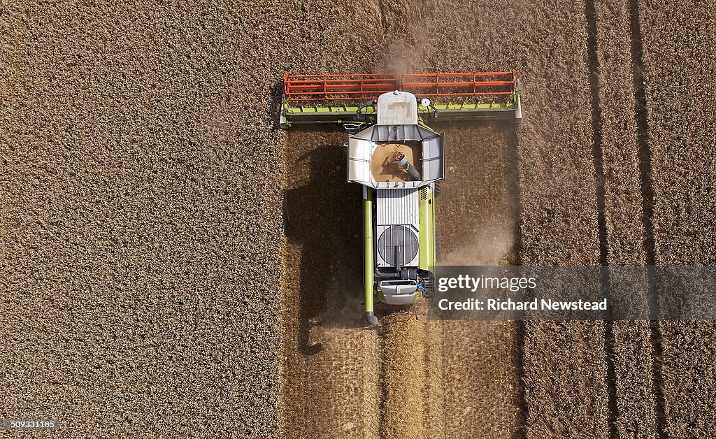Combine Harvesting Crop