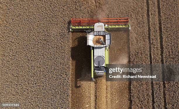 combine harvesting crop - strong stock pictures, royalty-free photos & images