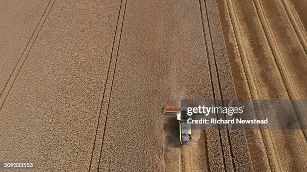 combine harvesting crop - harvesting stock pictures, royalty-free photos & images