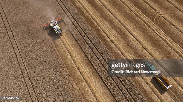 combine and tractor harvesting crop - farm field combine fotografías e imágenes de stock