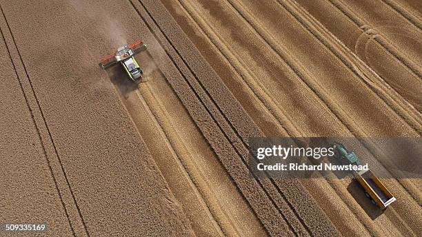 combine and tractor harvesting crop - champs tracteur photos et images de collection