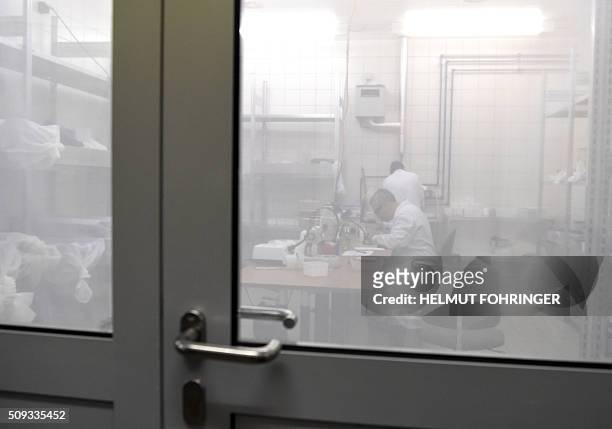 An employee works on February 10, 2016 at the IAEA Laboratories in Seibersdorf near Traiskirchen south of Vienna, Austria, where scientists research...
