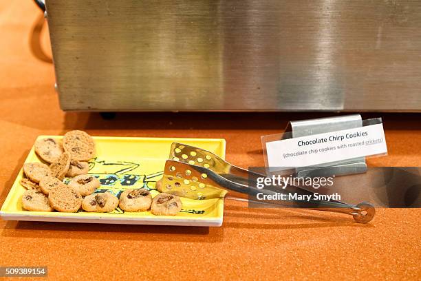 chocolate chirp cookies with crickets - krekels en sprinkhanen stockfoto's en -beelden